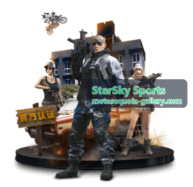 StarSky Sports 星空体育装备库与尺码对照页面