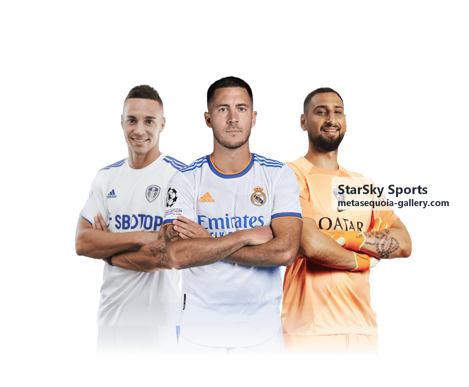 StarSky Sports 球队统计与球员数据对比面板