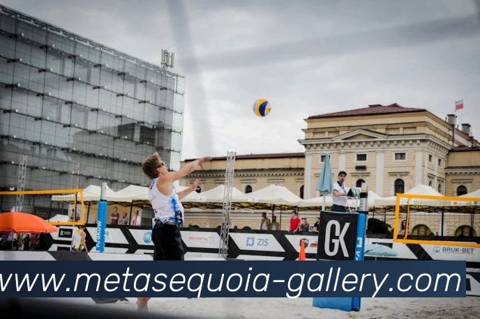 在线买世界杯平台平台生态图