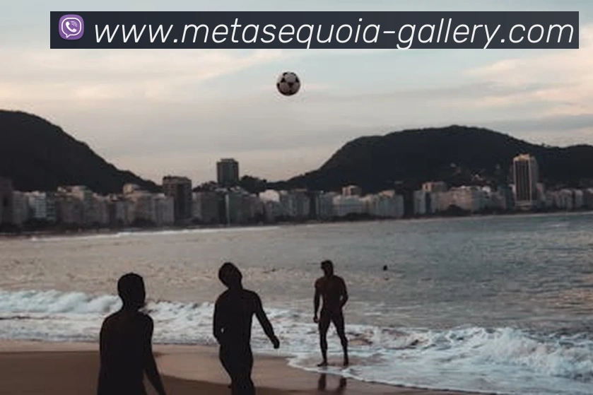 在线买世界杯平台全站App 在线买世界杯平台全站App