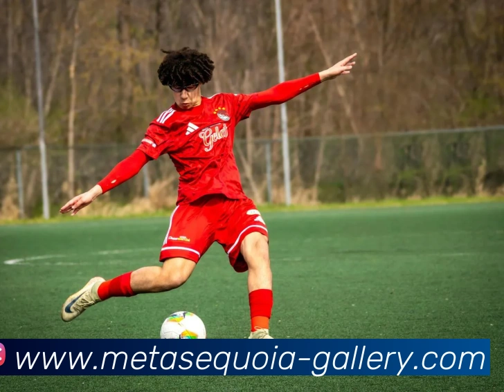 辅助工具 辅助工具